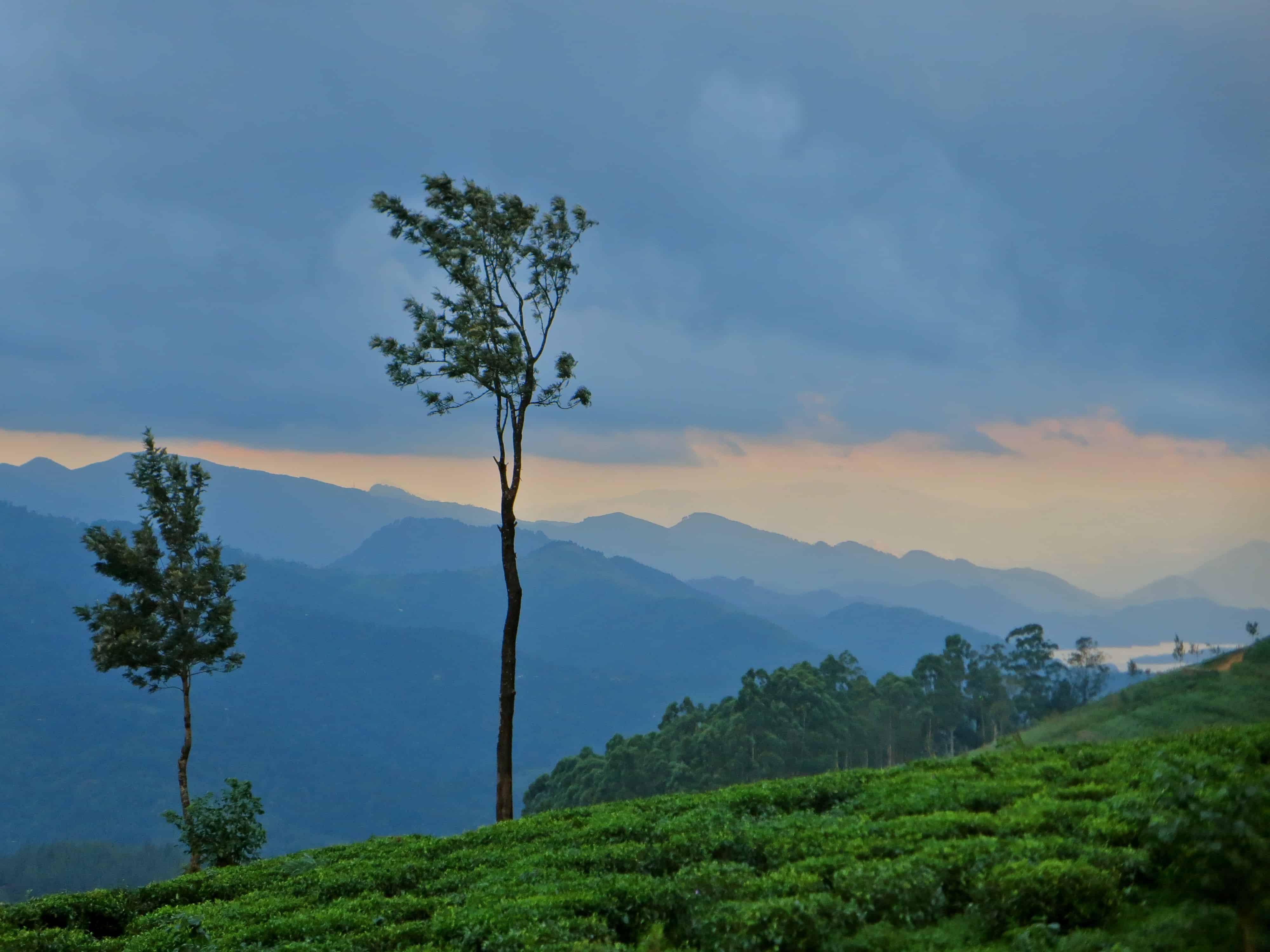 Hidden Places to Visit in Sri Lanka That Tourists Miss - Image 3