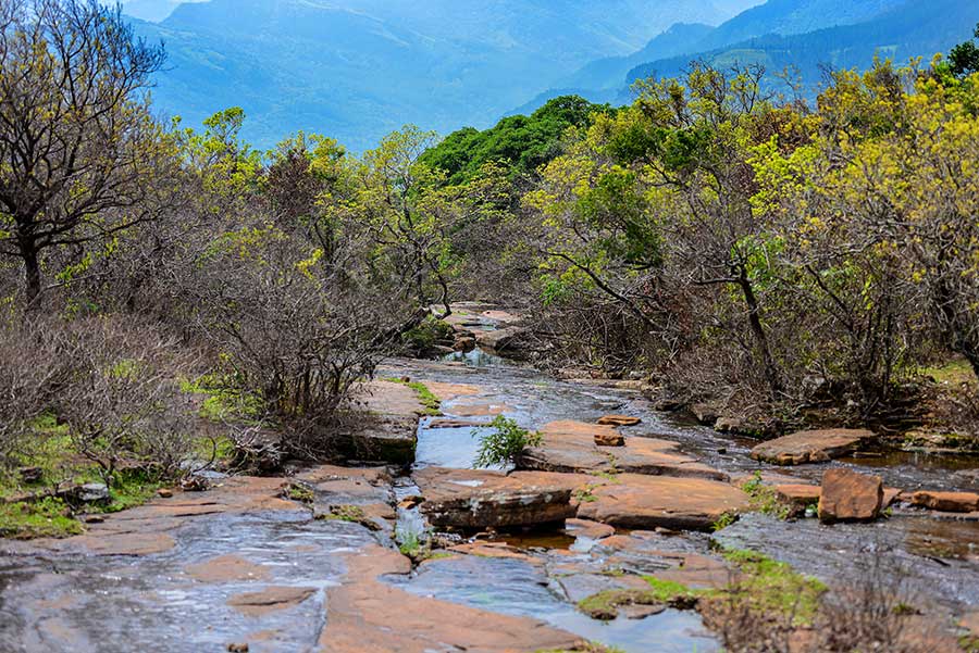 Hidden Places to Visit in Sri Lanka That Tourists Miss - Image 4
